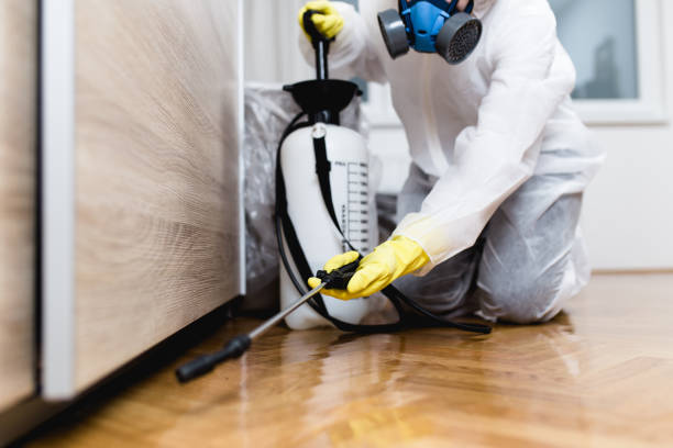 Best Pest Control for Restaurants  in Barbourmeade, KY