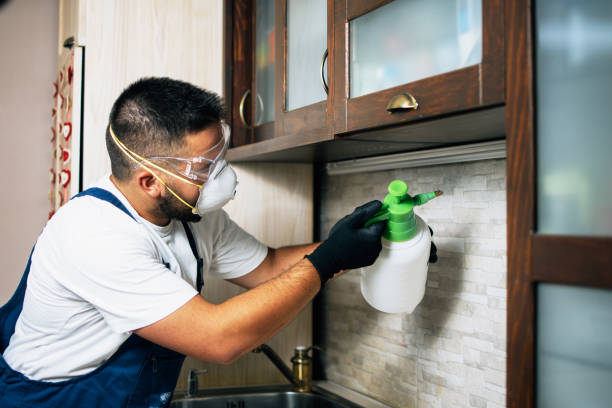 Best Best Pest Control Companies  in Barbourmeade, KY