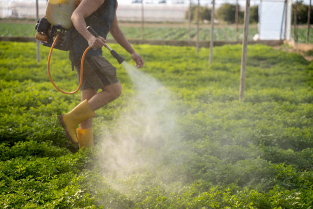 Best Exterminator Services  in Barbourmeade, KY
