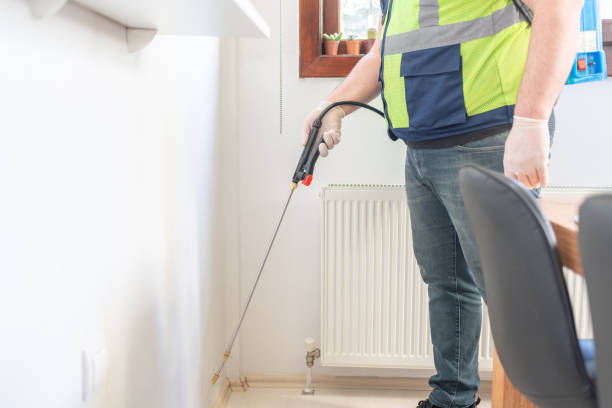 Best Termite Control Services  in Barbourmeade, KY