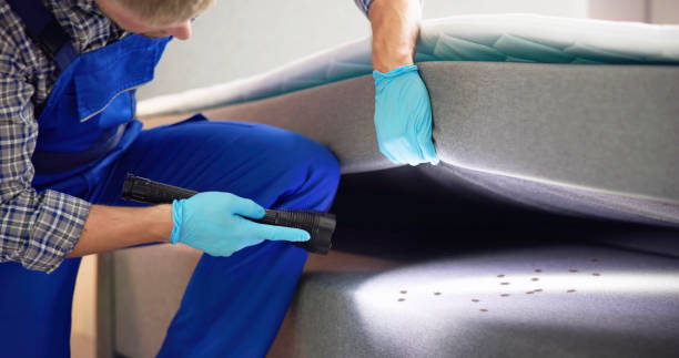 Pest Prevention Services in Barbourmeade, KY