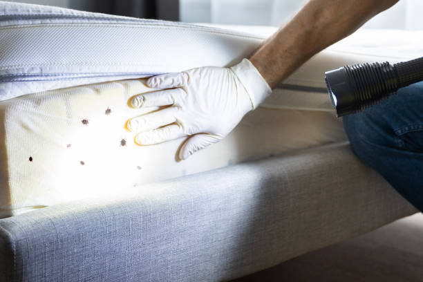 Best Best Pest Control Companies  in Barbourmeade, KY