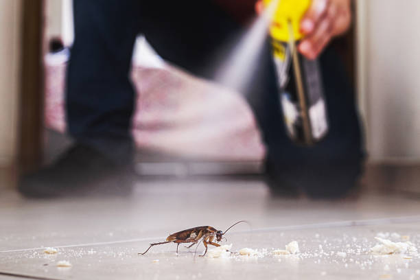 Pest Control Cost in Barbourmeade, KY