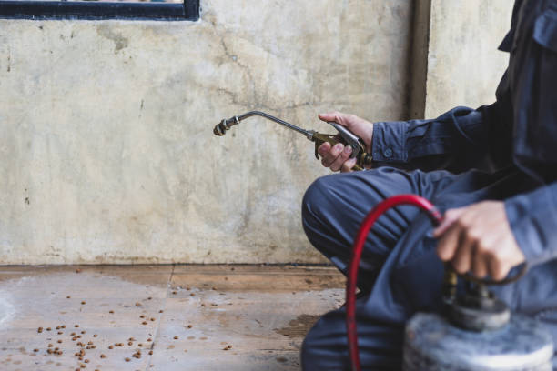 Best Pest Control for Homes  in Barbourmeade, KY