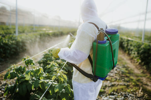 Best Emergency Pest Control  in Barbourmeade, KY